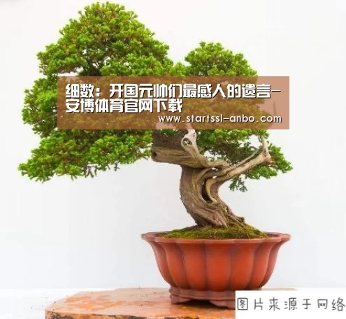 安博体育官网下载